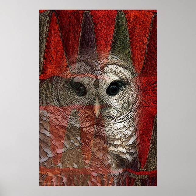 Pôster Owl Spirit por Gregory Gallo (Frente)