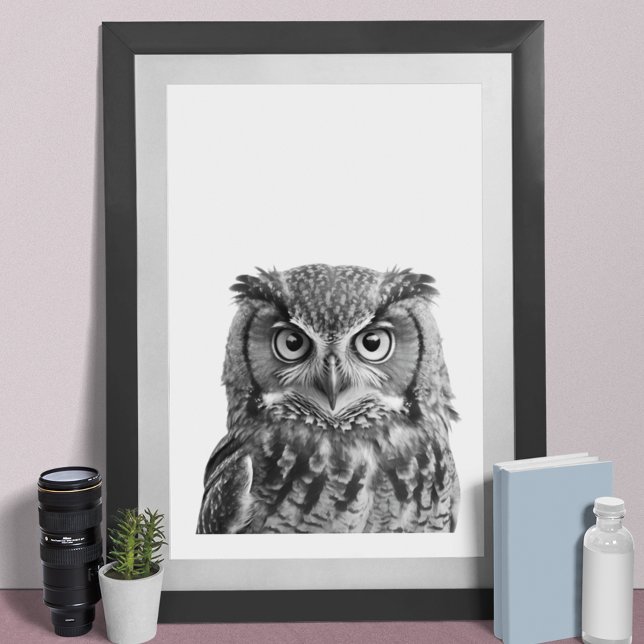 Poster Owl Woodland Modern Retrait Black White (Criador carregado)