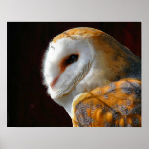 POSTER OWLS