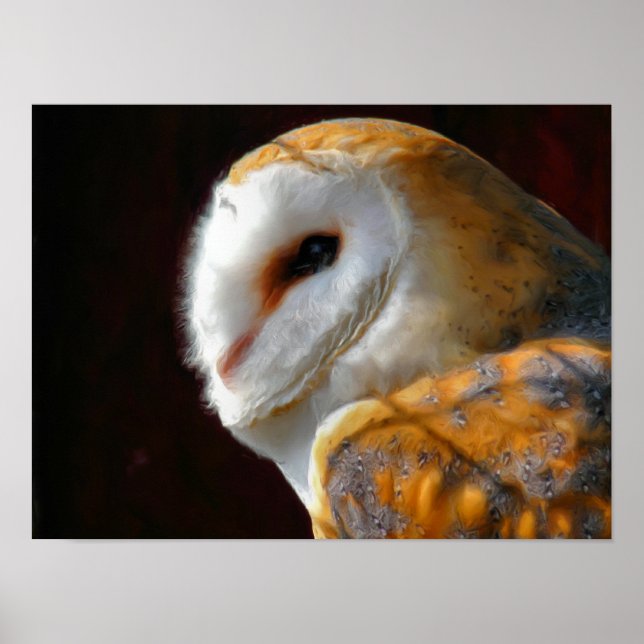 POSTER OWLS (Frente)