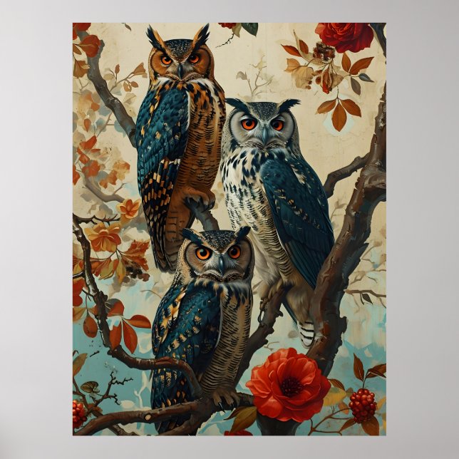 Poster Owls Vintage (Frente)