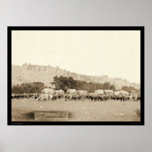 Pôster Ox Equipes & Vagões Colinas Negras de Freighting S