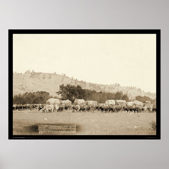 Pôster Ox Equipes & Vagões Colinas Negras de Freighting S (Frente)