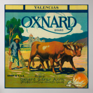 Pôster Oxnard LabelOxnard alaranjado, CA