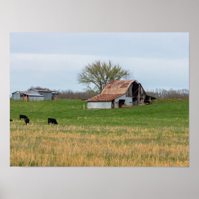 Pôster Ozark Antiga Fazenda (Frente)