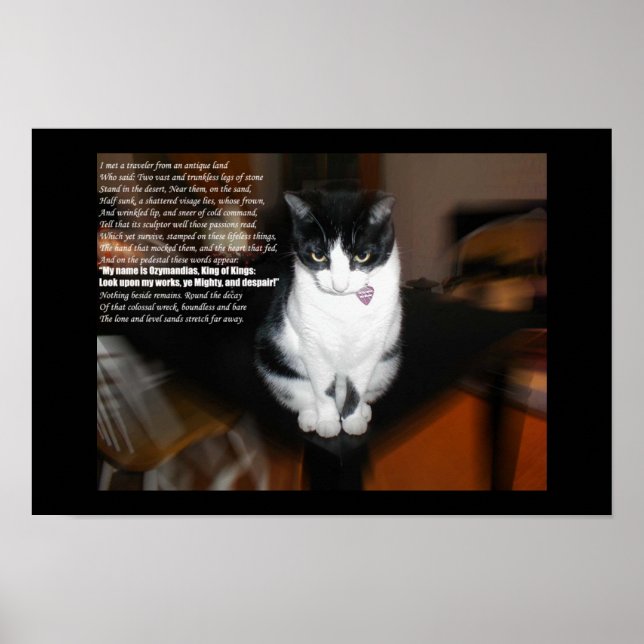 Poster ozymandias (Frente)