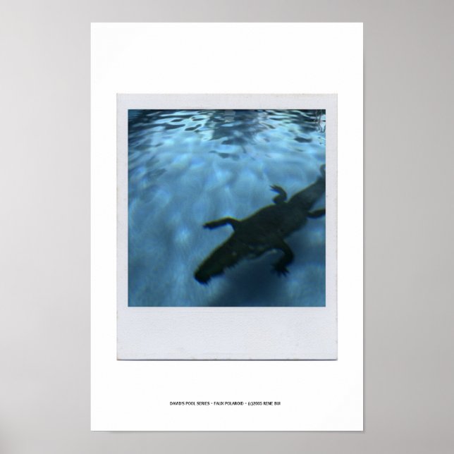 Poster p05b SÉRIE DE PISCINAS DA DAVID (Frente)