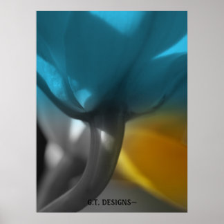 Poster P1016531-1, DESIGNS G.T.~Uma coleção de orquídeas