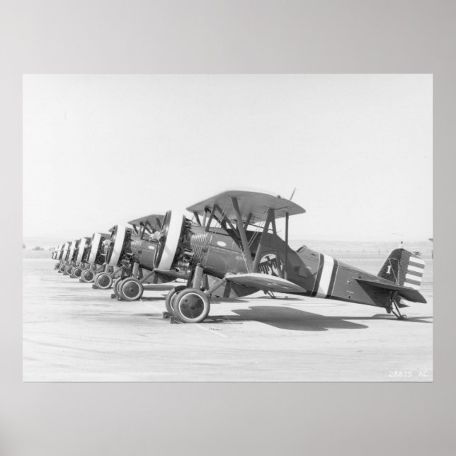 PÔSTER P-12 (Frente)