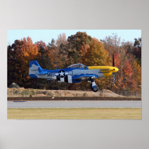 PÔSTER P-51