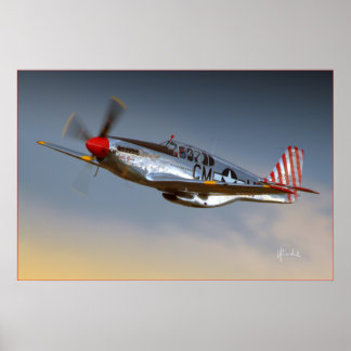 Pôster P-51C Mustang
