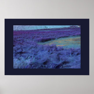 Pôster P Abaixo em Indigo