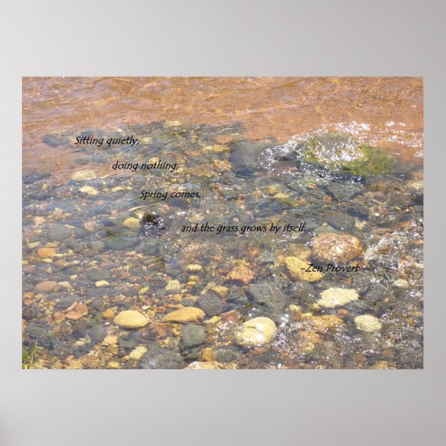 Pôster Paciência (Frente)