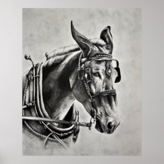 Pôster Paciência é uma Virtude