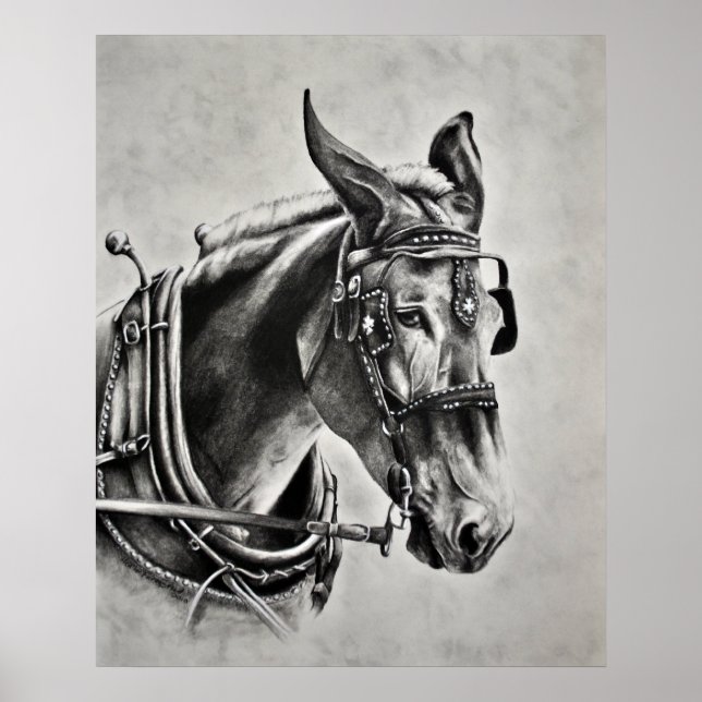 Pôster Paciência é uma Virtude (Frente)