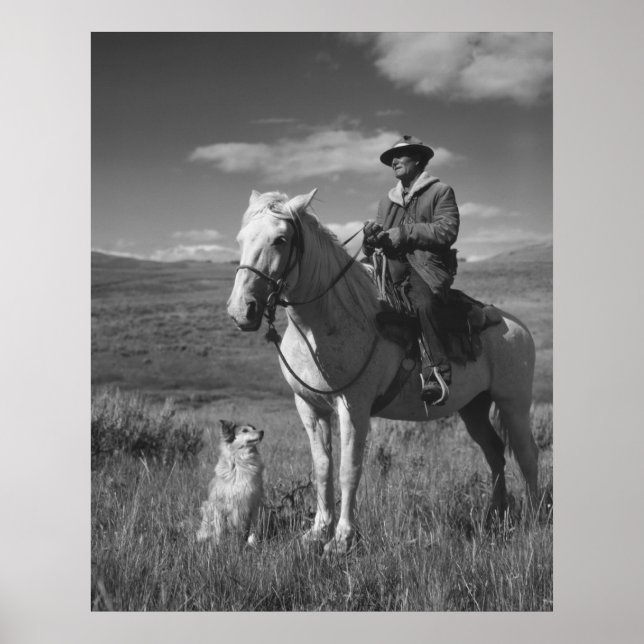 Poster Paciência Pastoral, 1942 (Frente)