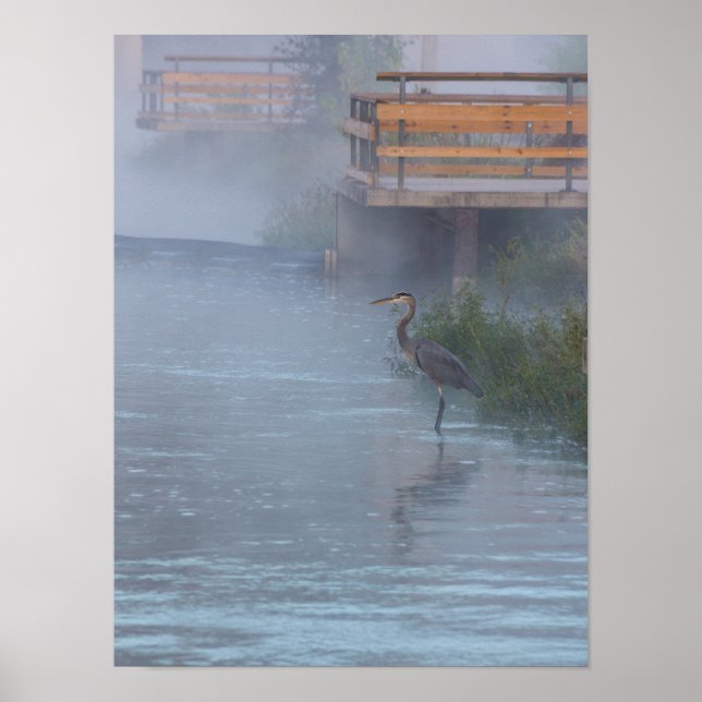 Pôster Pacientemente Esperando (Frente)