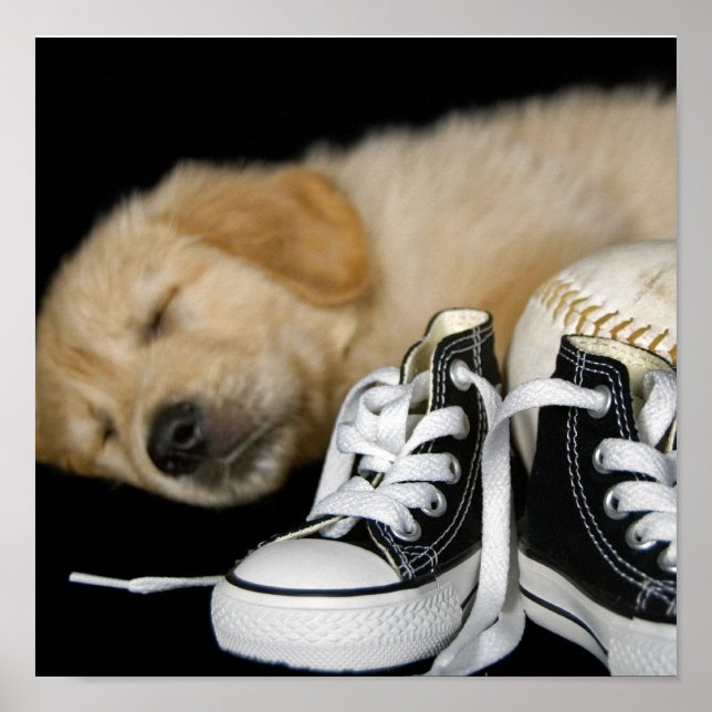 Poster Pacientemente Esperando (Frente)