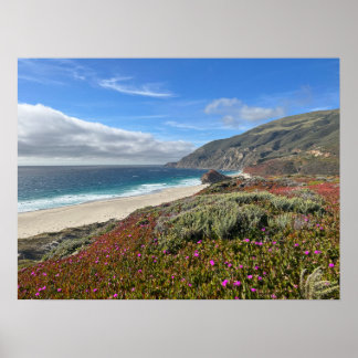 Poster Pacific Coast