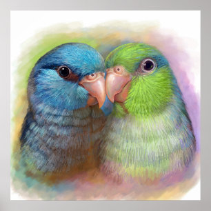 Poster Pacific parrotlet parrot realistic painting