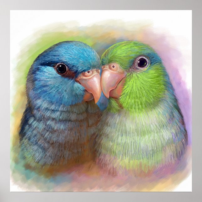 Poster Pacific parrotlet parrot realistic painting (Frente)