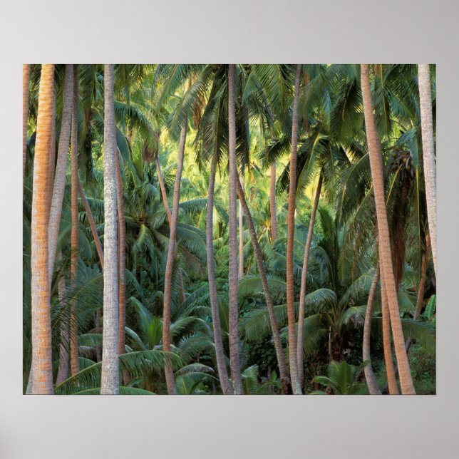 Pôster Pacífico Sul, Polinésia Francesa, Bora Bora. (Frente)