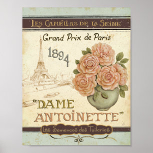 Pôster Pacote da semente