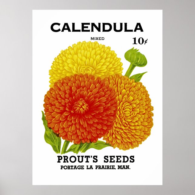 Poster Pacote de Semente de Vintagem do Calendário (Frente)