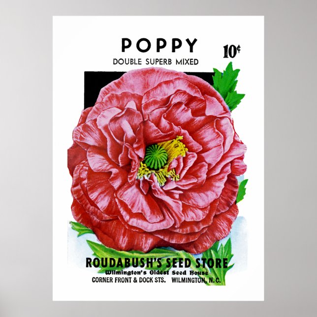 Pôster Pacote de Semente Vintage Poppy (Frente)