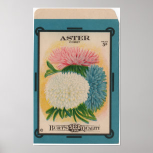 Poster Pacotes da semente do vintage