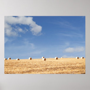 Poster Pacotes de feno no campo