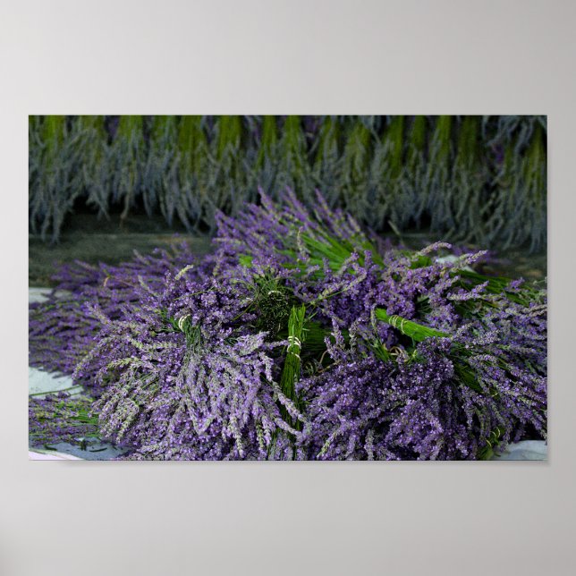Poster Pacotes de lavanda (Frente)