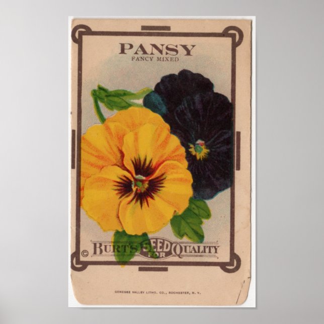 Pôster Pacotes de Semente Vintage (Frente)