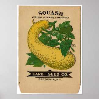Poster Pacotes de Semente Vintage