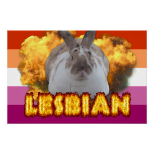 Pôster Paddy Pride Poster (lésbica)