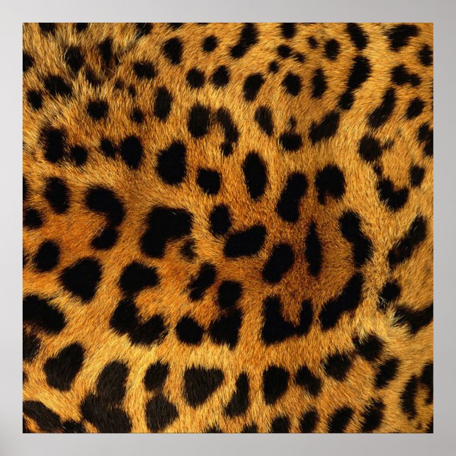Poster padrão chic do animal da moenda impressão-leopardo (Frente)