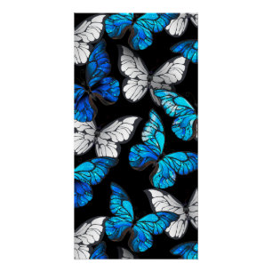 Pôster Padrão contínuo escuro com borboletas azuis Morpho
