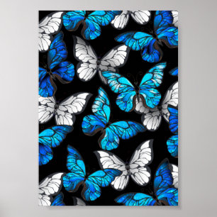 Poster Padrão contínuo escuro com borboletas azuis Morpho