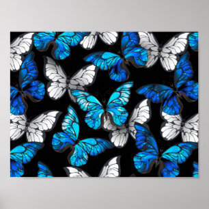 Poster Padrão contínuo escuro com borboletas azuis Morpho