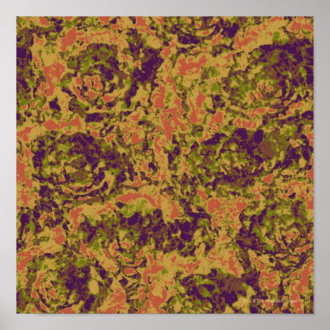 Pôster Padrão de camuflagem de flores vibrante (Frente)