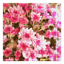 Padrão de Flor de Rosa – Design Botânico Suave