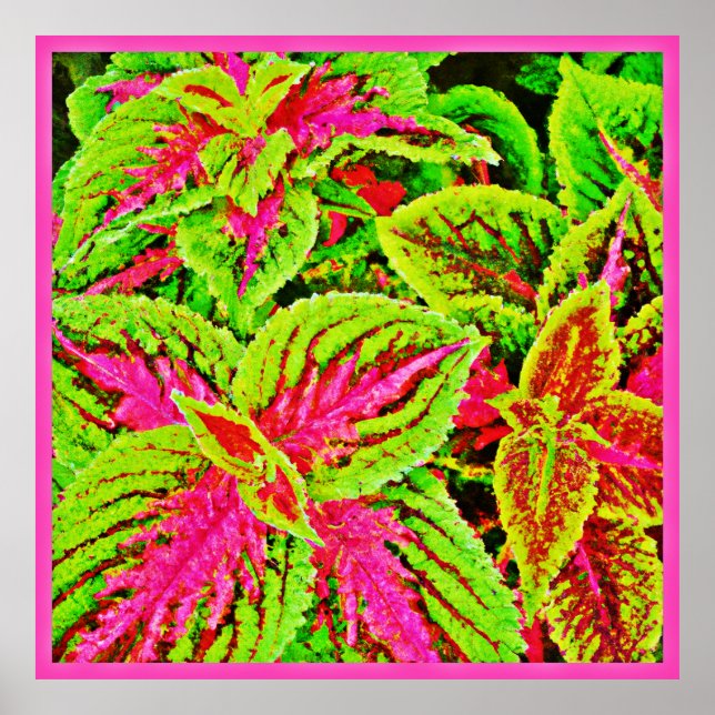 Poster Padrão de Folhas da Natureza Vibrante (Frente)