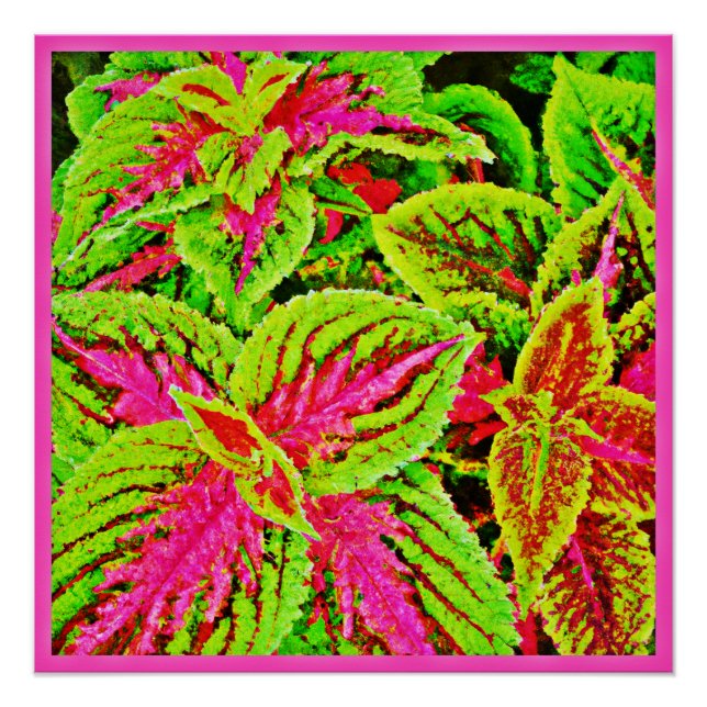 Pôster Padrão de Folhas de Natureza Vibrante (Frente)