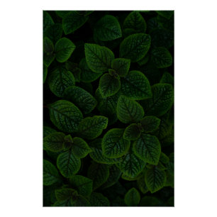 Pôster Padrão de Folhas Texturizadas Verde Esmeralda Escu
