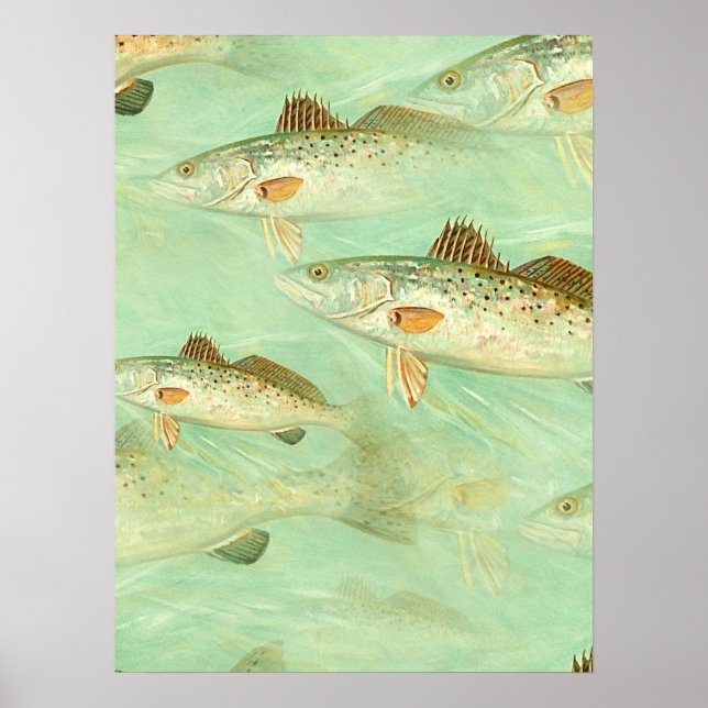 Poster Padrão de Peixes de Bass (Frente)