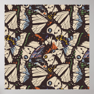 Poster Padrão de superfície das borboletas venenosas. Col