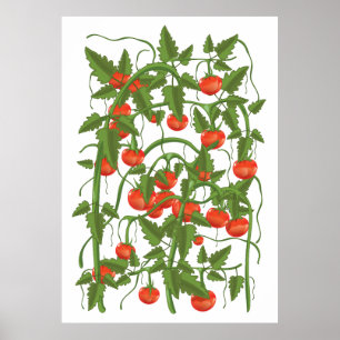 Poster Padrão de Tomates