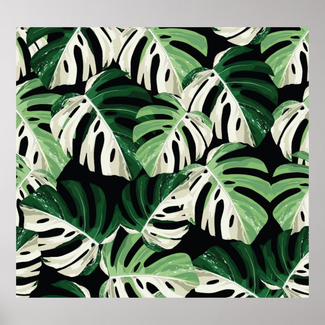 Poster Padrão Negro Exótico Monstera Leaf (Frente)