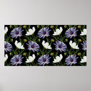 Poster Padrão sem costura com cosmos brancos e margarida