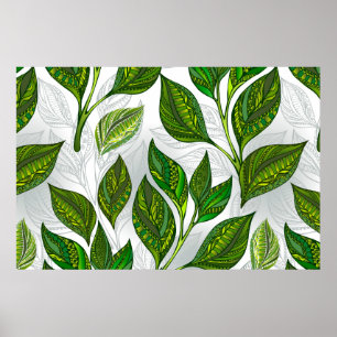Poster Padrão sem costura com folhas verdes de chá